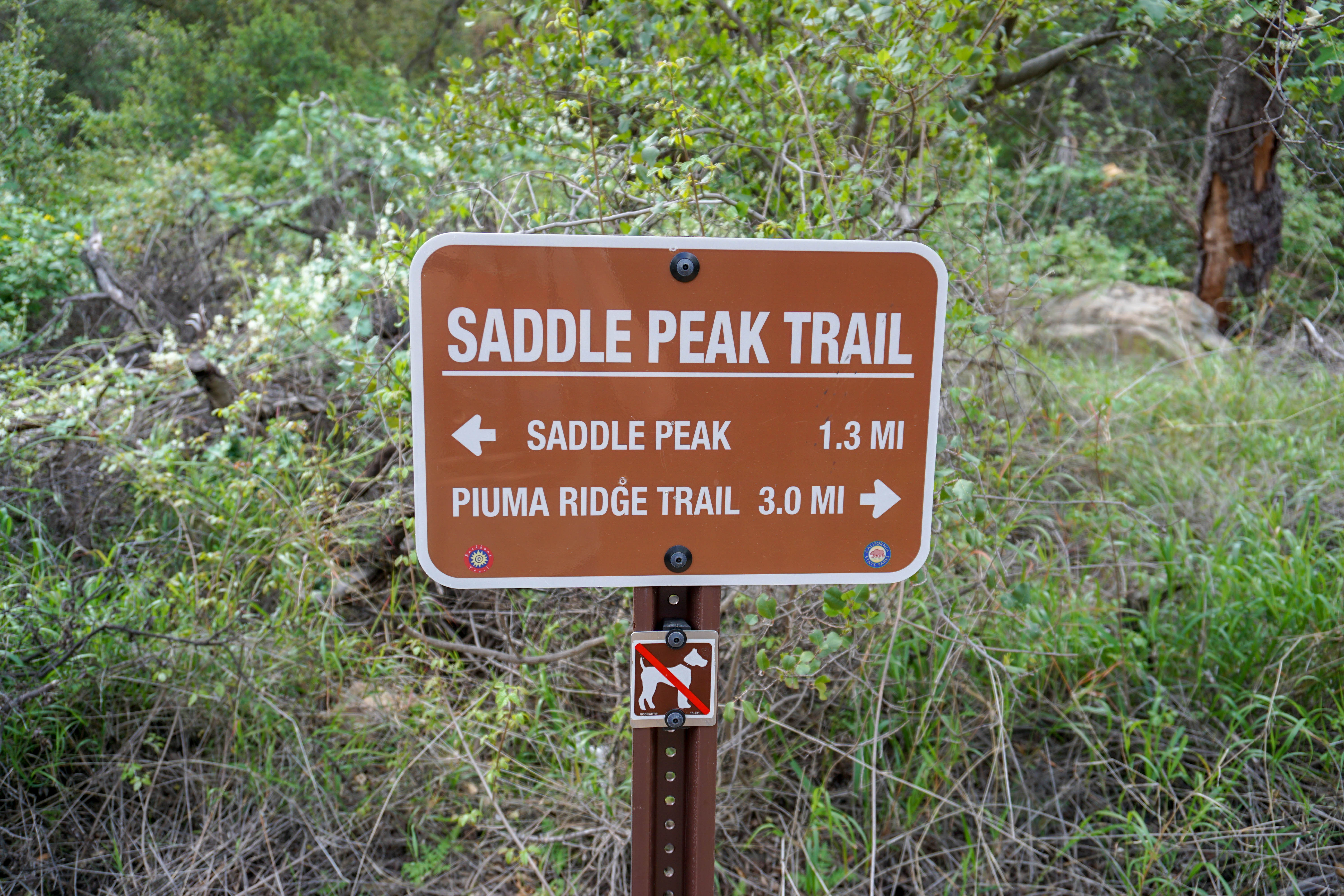 Saddle Peak Fork